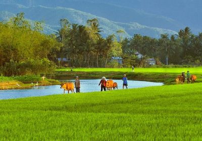 Countryside Biking Safaris